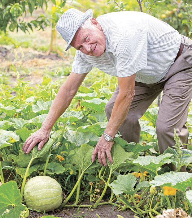 Од украса до трпезе